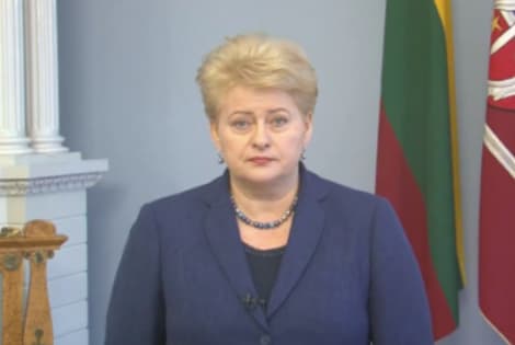 "Esu Konstitucijos garantas", - beveik prieš metus viešai piliečiams pareiškė šalies prezidentė Dalia Grybauskaitė. Nemalonu net pagalvoti: jei D. Grybauskaitė yra Konstitucijos garantas, o gegužės 17 dieną ši Konstitucija, pasak tos Konstitucijos kūrėjų,