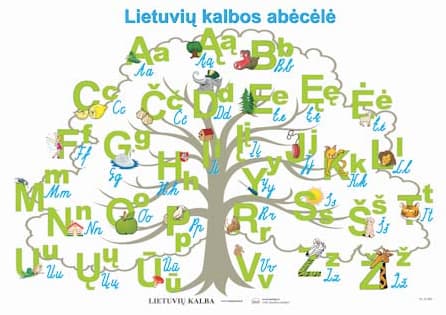 Tautininkų sąjunga: Konstitucinis teismas pamynė Konstitucijoje įtvirtintą valstybinės kalbos statusą