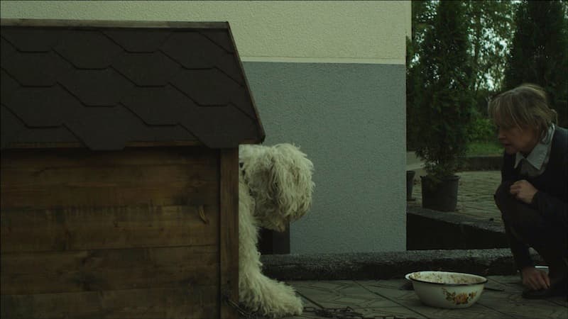 Kadras iš filmo „Šuns dienos“