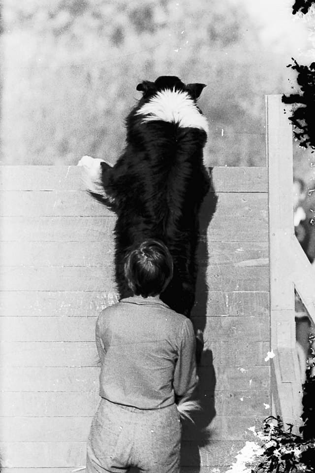 Be pavadinimo. 1969 m., Algimanto Žižiūno nuotr.