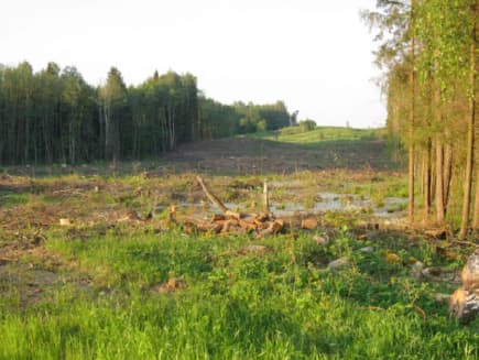 Byla dėl Lietuvos-Lenkijos elektros energijos jungties - Aarhuso konvencijos Atitikties komitete