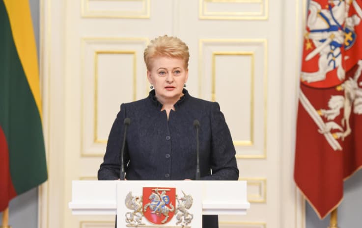 Tiesos ir skaidrumo šalininkę, prezidentę D. Grybauskaitę šokiravo premjero A. Butkevičiaus įžūlumas