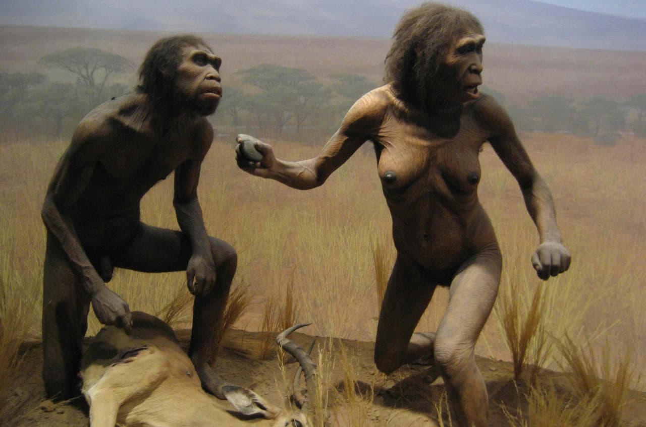 Lietuva lemtingame Homo sapiens rūšies istorijos taške