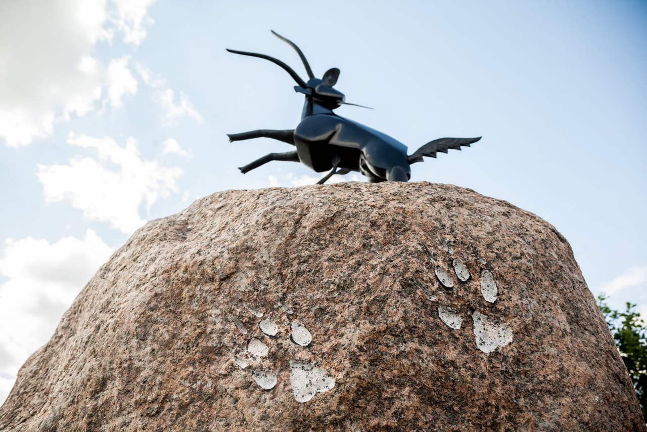 Vilnius pasipuošė Vilkpėdės mitologine skulptūra su vilko pėdomis