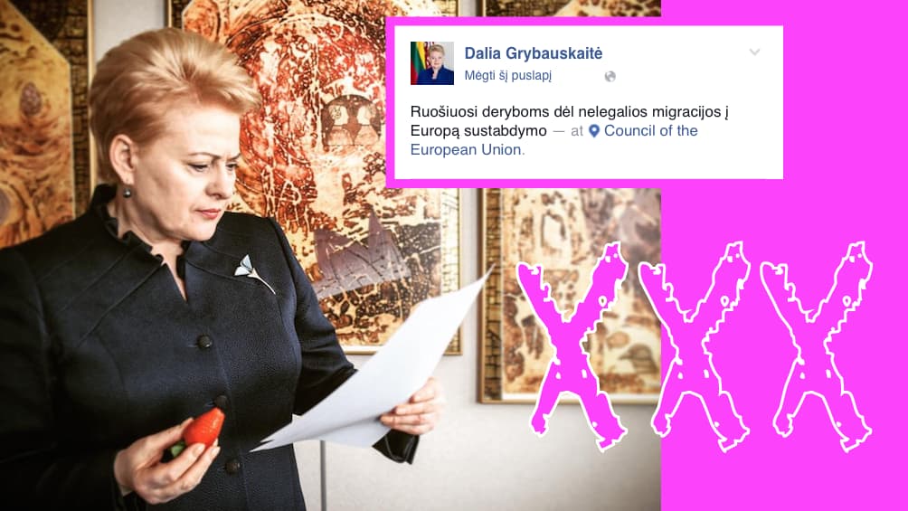 Naujausia D. Grybauskaitės fotosesija „Ruošiuosi deryboms dėl nelegalios migracijos į Europą sustabdymo“