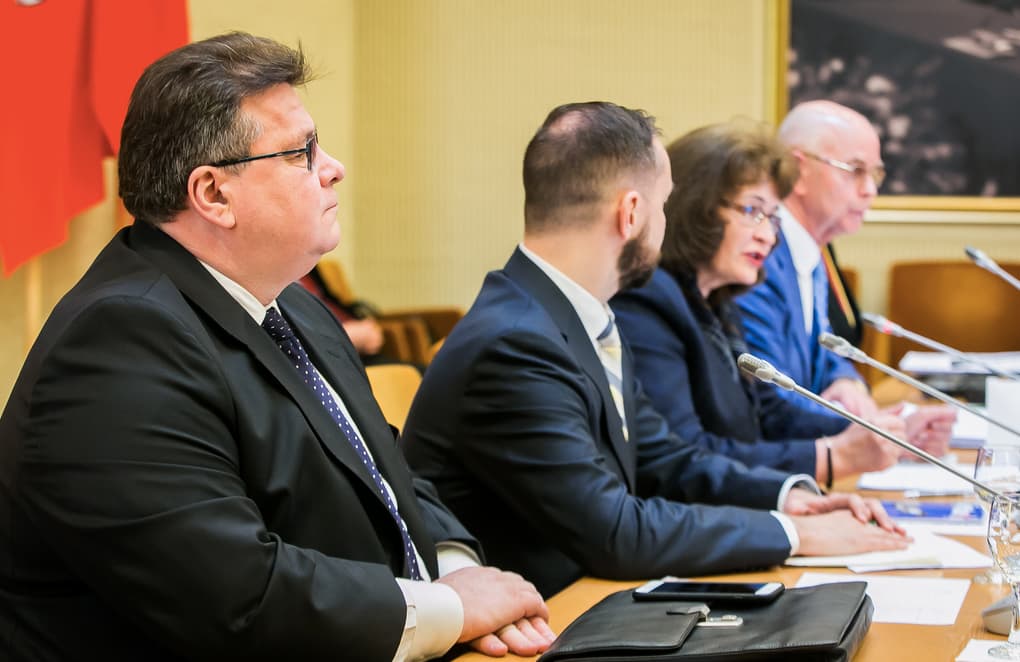 Seimo ir Pasaulio lietuvių bendruomenės komisijos posėdžio akimirka. Nuotr. lrs.lt