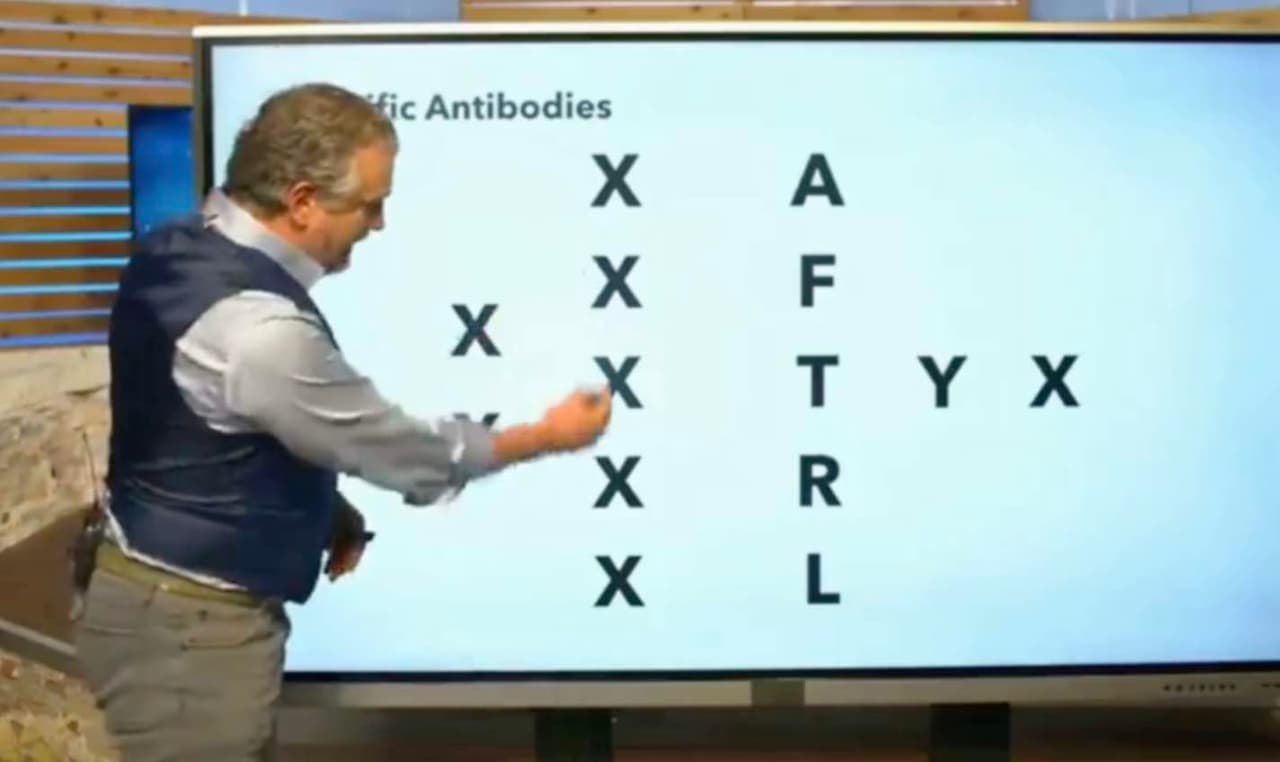 Belgų mokslininko įžvalga, kodėl žmonijai dėl masinio vakcinavimosi nuo koronaviruso gresia labai didelis pavojus