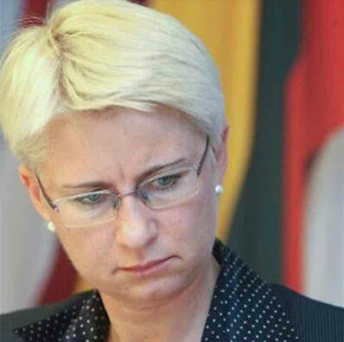 Neringos Venckienės baigiamoji kalba teisme