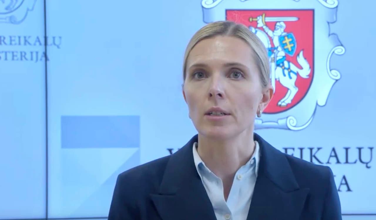 Bilotaitė pranešė apie hibridinio karo metu prieš Lietuvą suklaidintus piliečius, dalyvavusius mitinge
