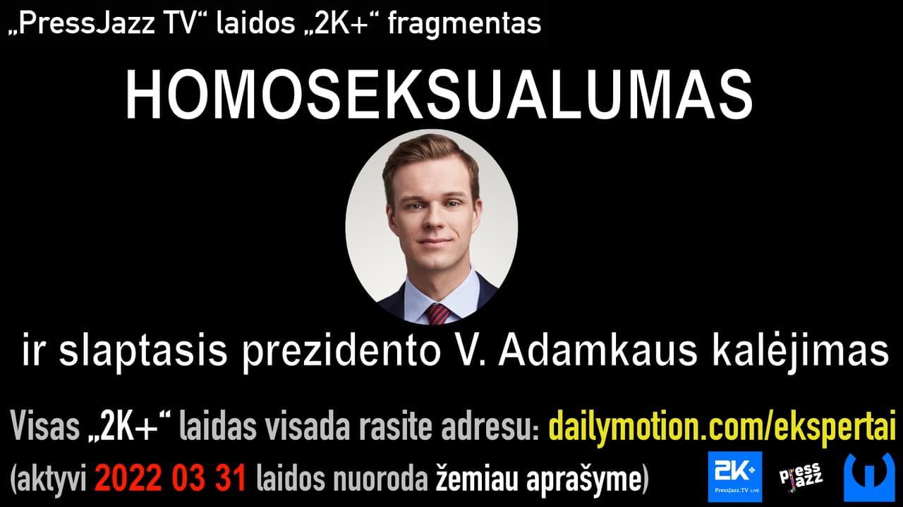G. Landsbergis neslepia – jam ypač svarbi homoseksualumo tema