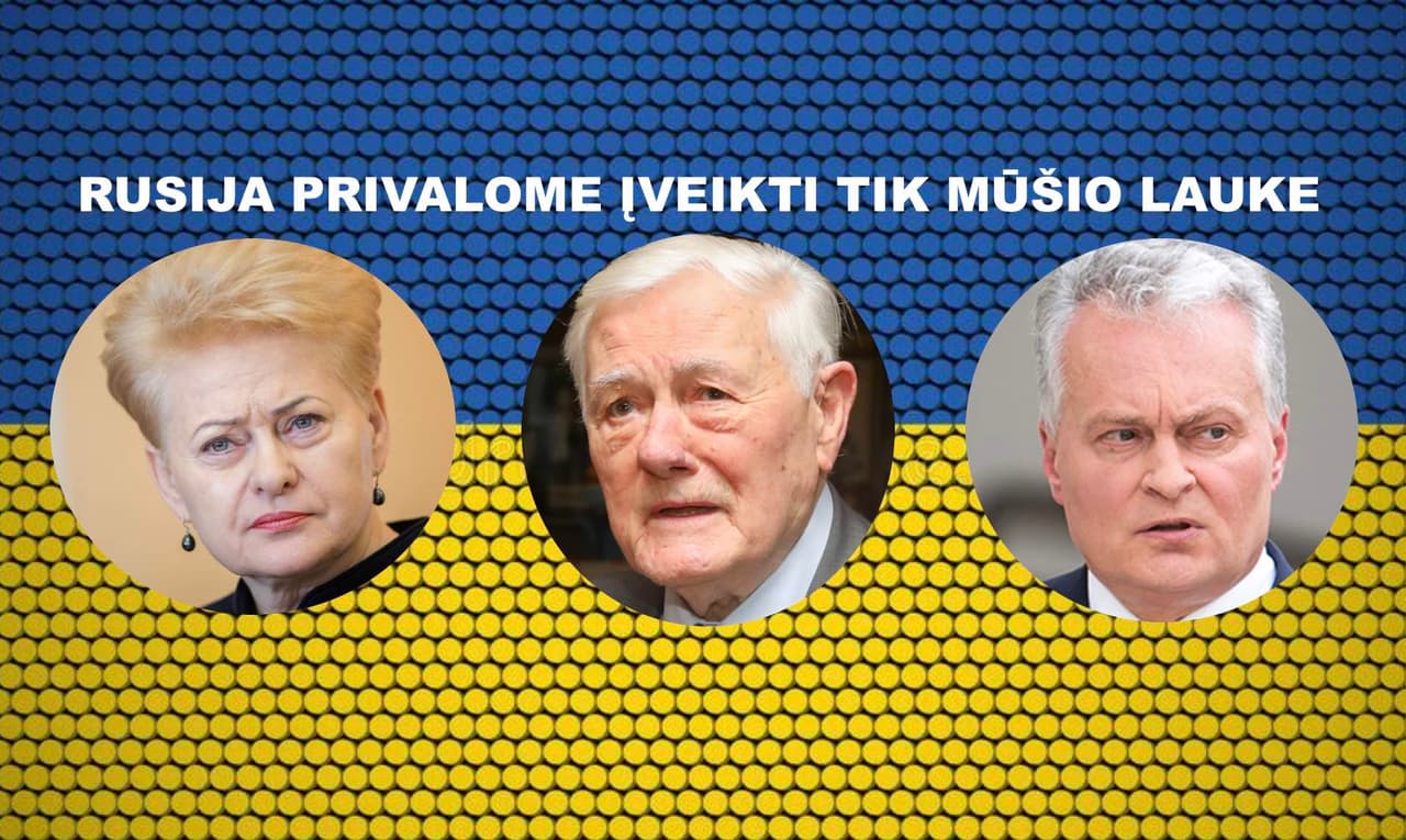 Apklausos Vokietijoje rezultatai yra netinkami Lietuvos politiniam žiedui