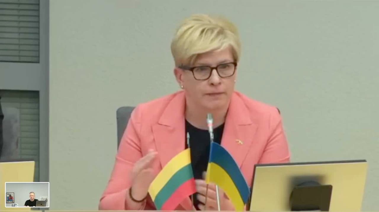 Šimonytės emocinė būklė kelia didelį nerimą