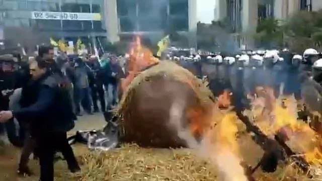 Nyderlandų fermeriai šienu apšaudė demokratiją ir vertybes ginančią policiją