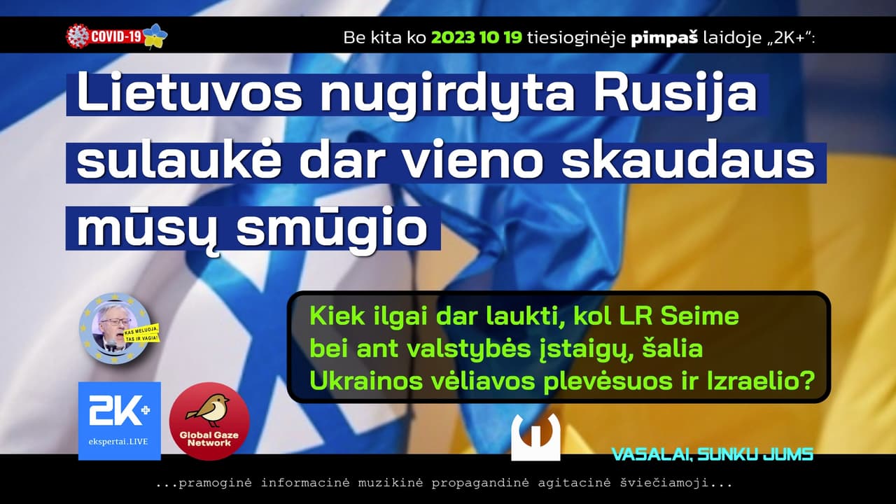 Nacionalinio krizių valdymo prasmė tik viena – tvarkingas pinigų įsisavinimas