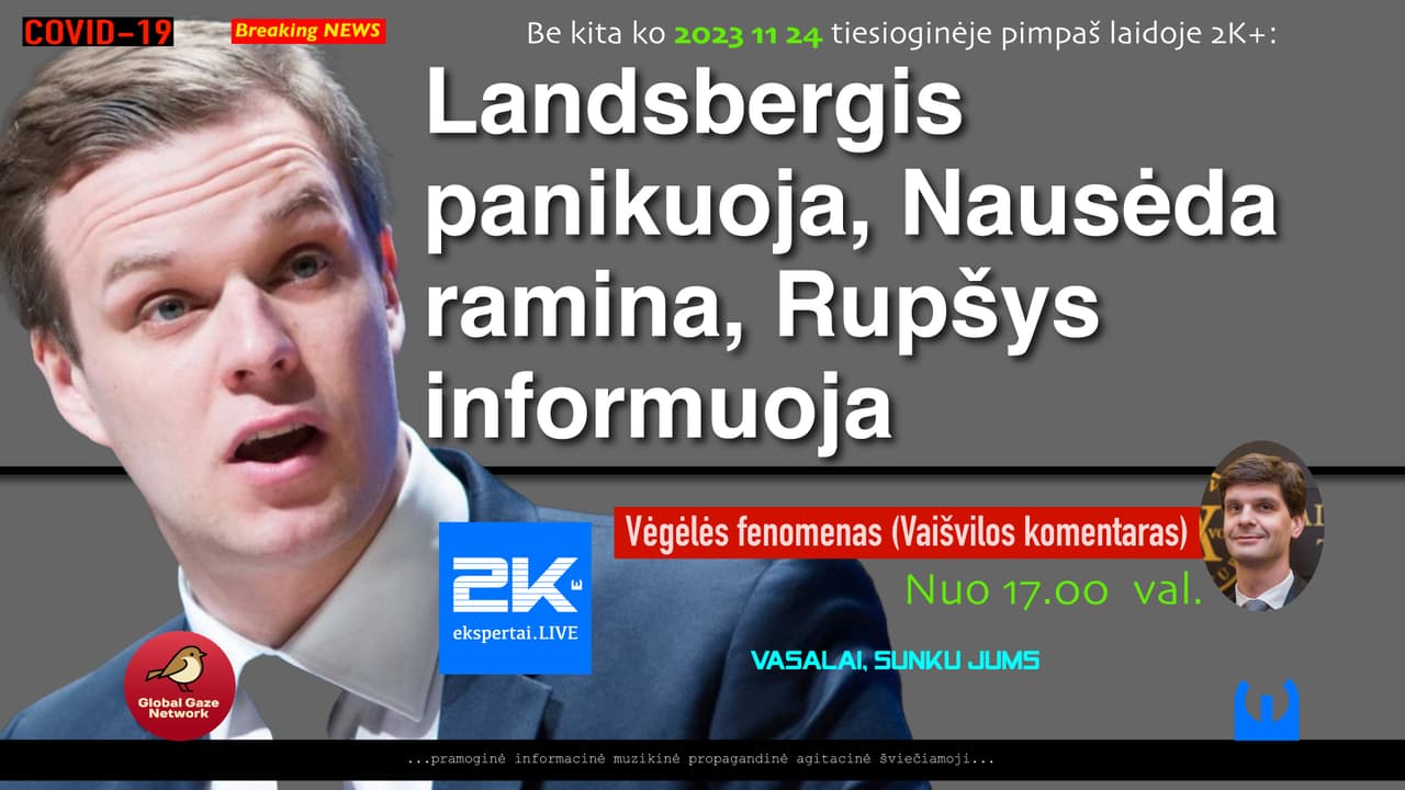 Kodėl taip sunerimo Vyriausybės Vyriausybėje vadovas Gabrielius Landsbergis?