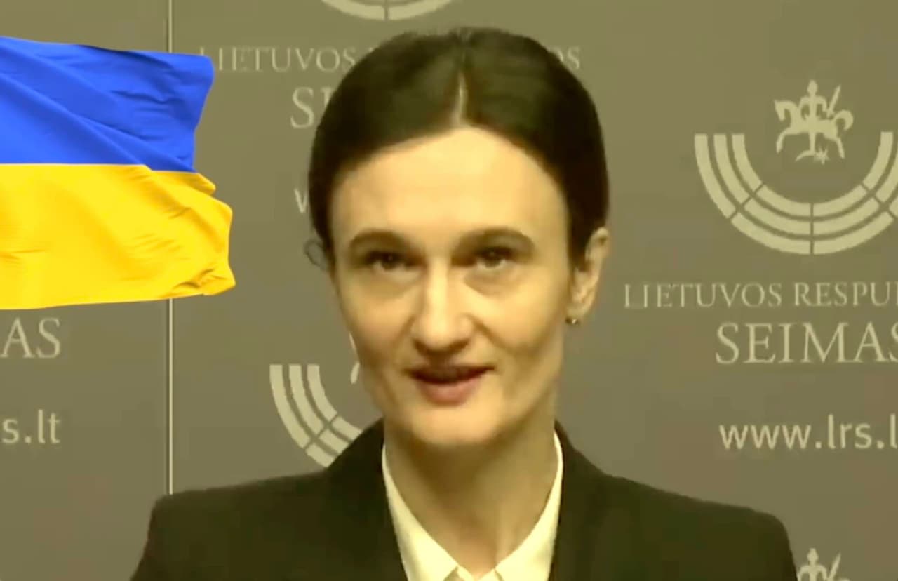 Čmilytė-Nielsen neslepia, kad teistumas partijoms netruko