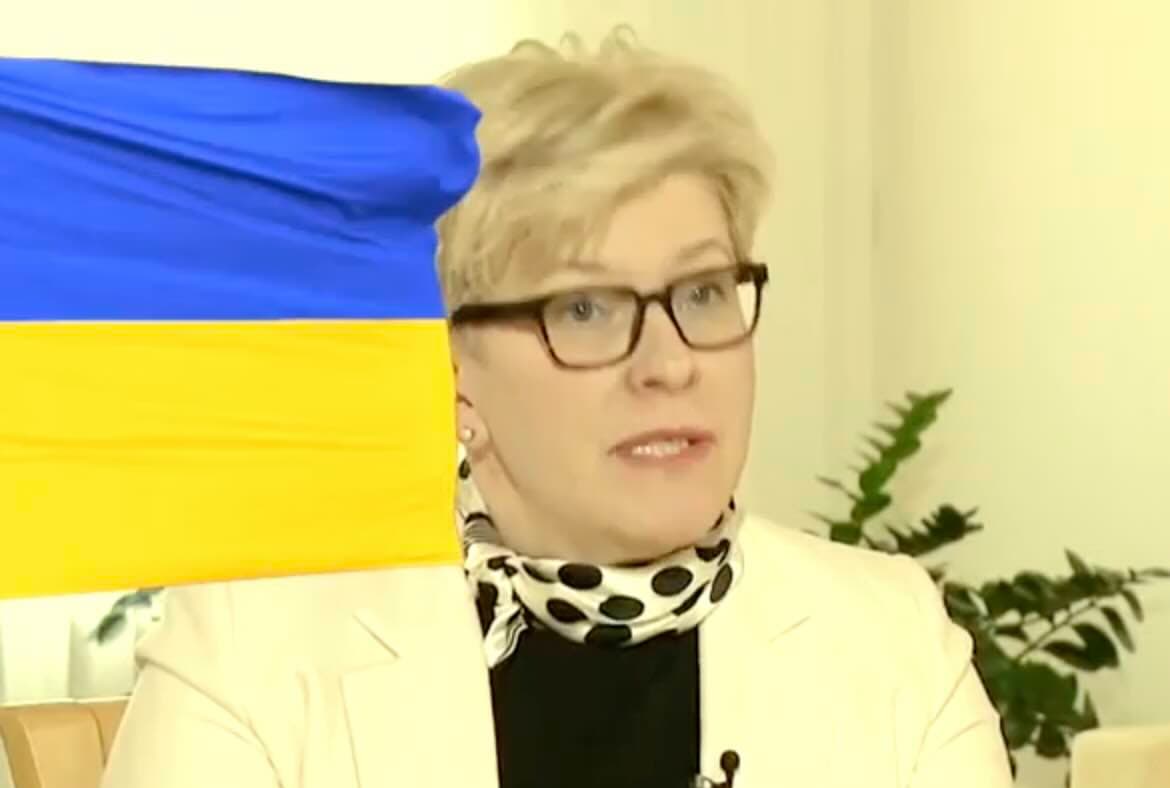 Premjerė Ingrida Šimonytė informavo, kad nori laimėti Prezidento rinkimus