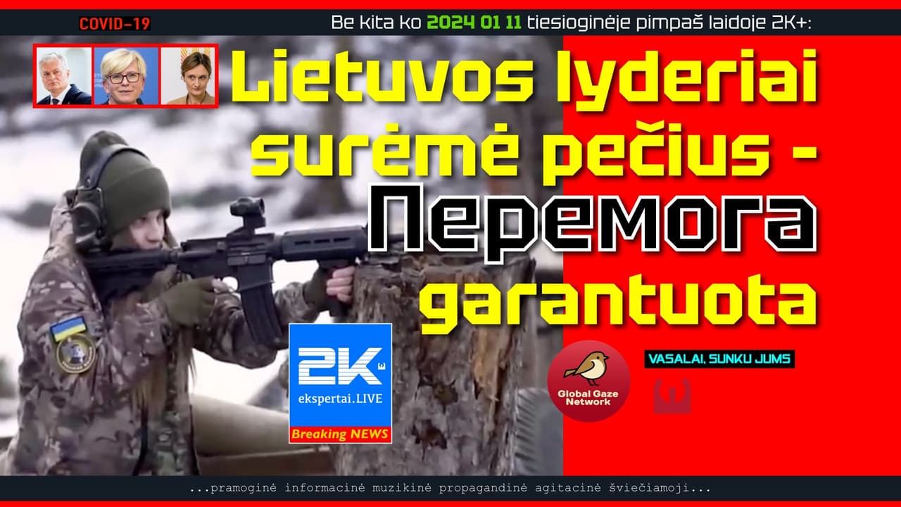 Lietuvos atstovas NATO: mes turime laimėti dar vieną karą