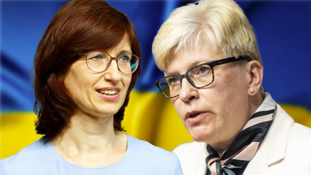 Neliečiamosios VRK ir Ingrida Šimonytė