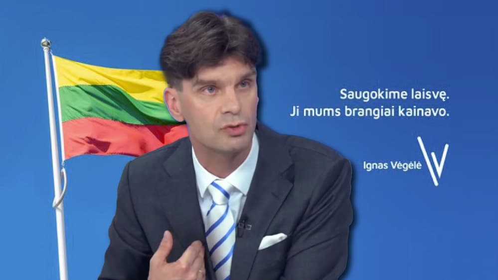Kas verčia Vėgelę taip elgtis?
