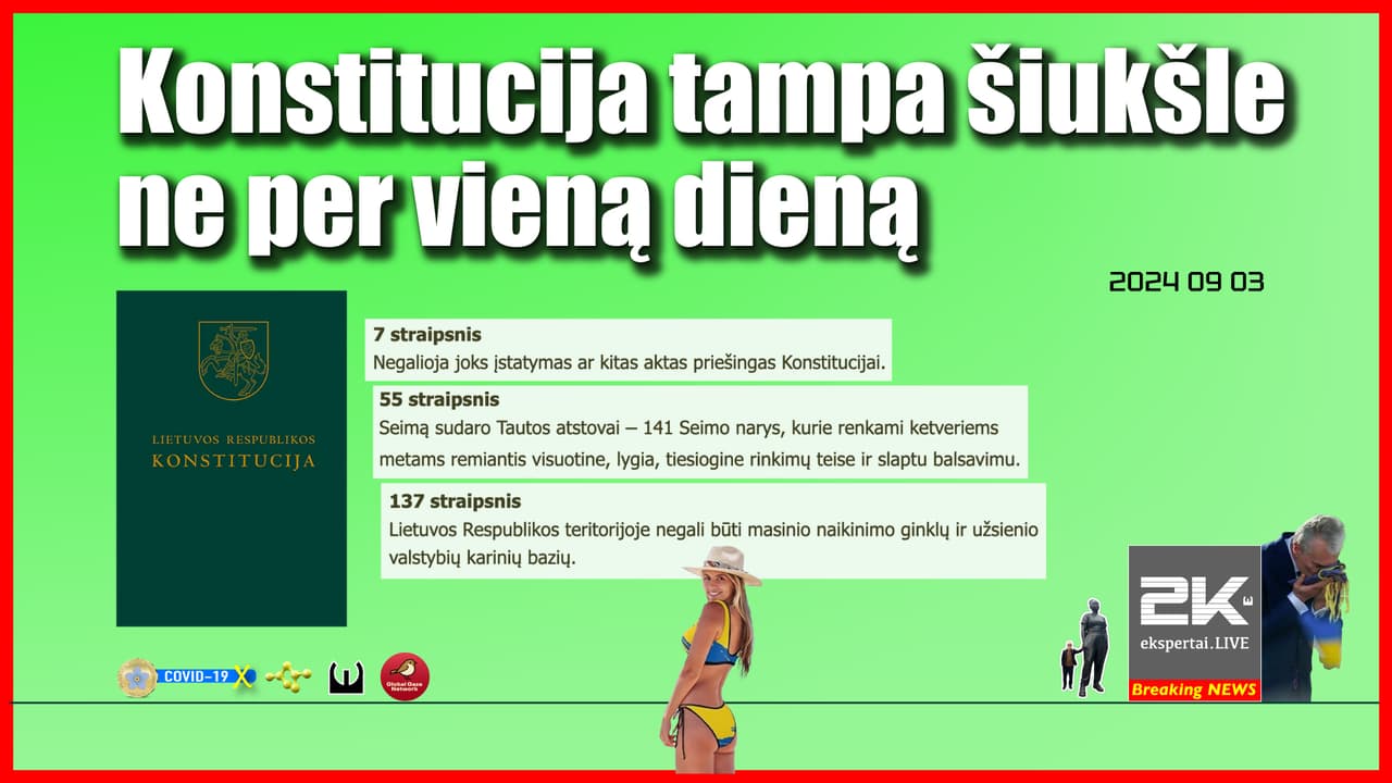 Kai pagrindinis šalies įstatymas tampa šiukšle, situacija taisytina