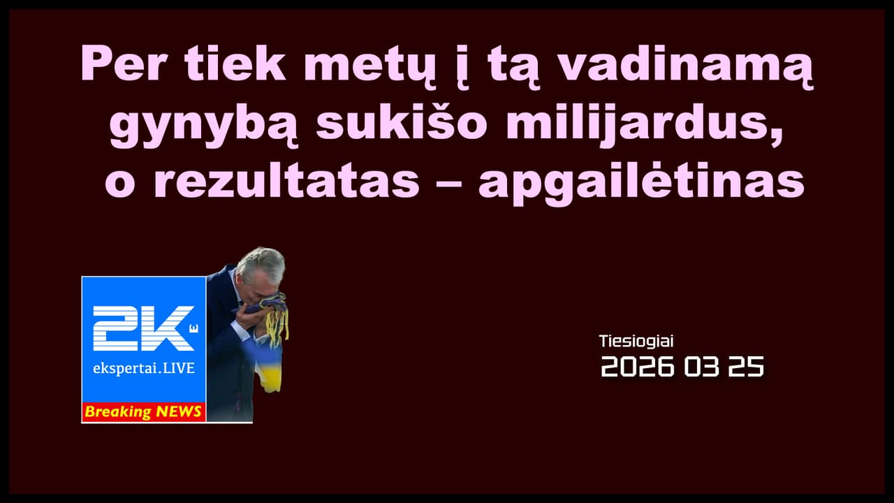 Po visų šitų „gynybų“ gali likti ne stipresnė Lietuva, o Žalimas ir vėl nukentėjusysis