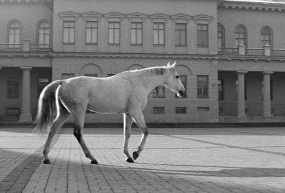 Kadras iš A. Grikevičiaus filmo „Laikas eina per miestą“