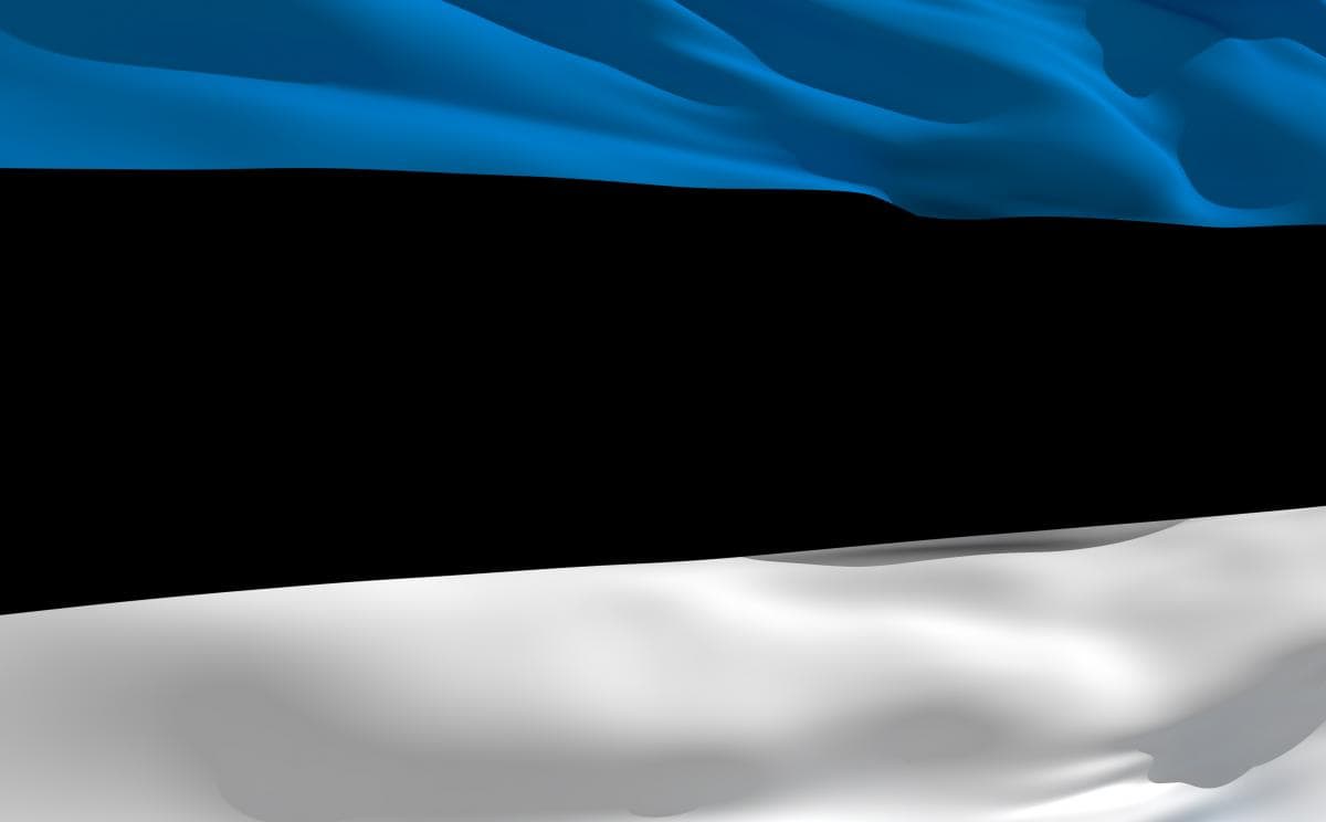 Signalas iš Estijos - euras nėra stebuklingas vaistas