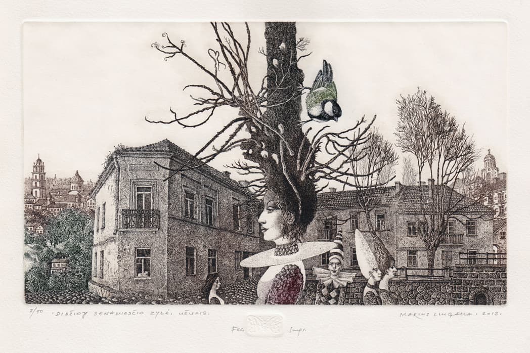 Marius Liugaila. Senamiesčio zylė. Raižinys